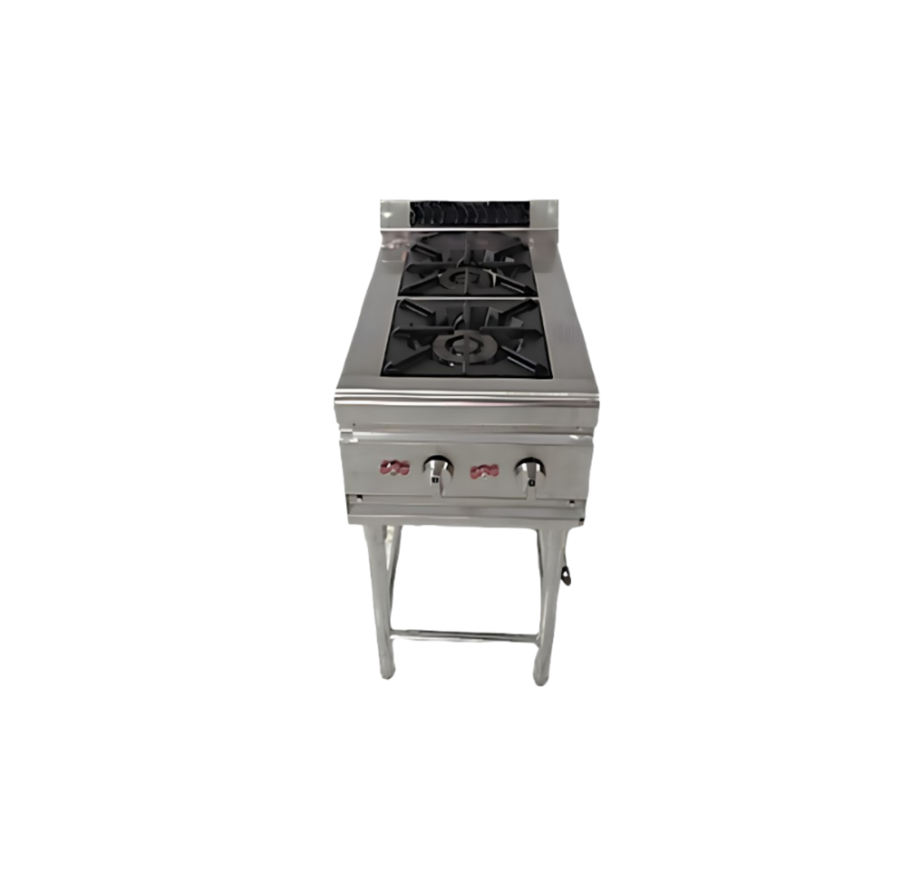 Standing Gas Stove 2 Burner